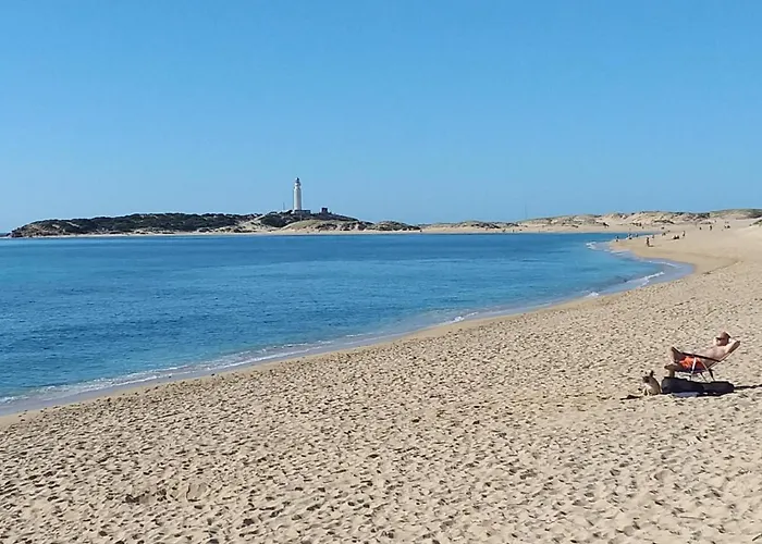 Piso Del Atun